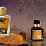 Noxé – The Unisex Fragrance of Mystery and Power